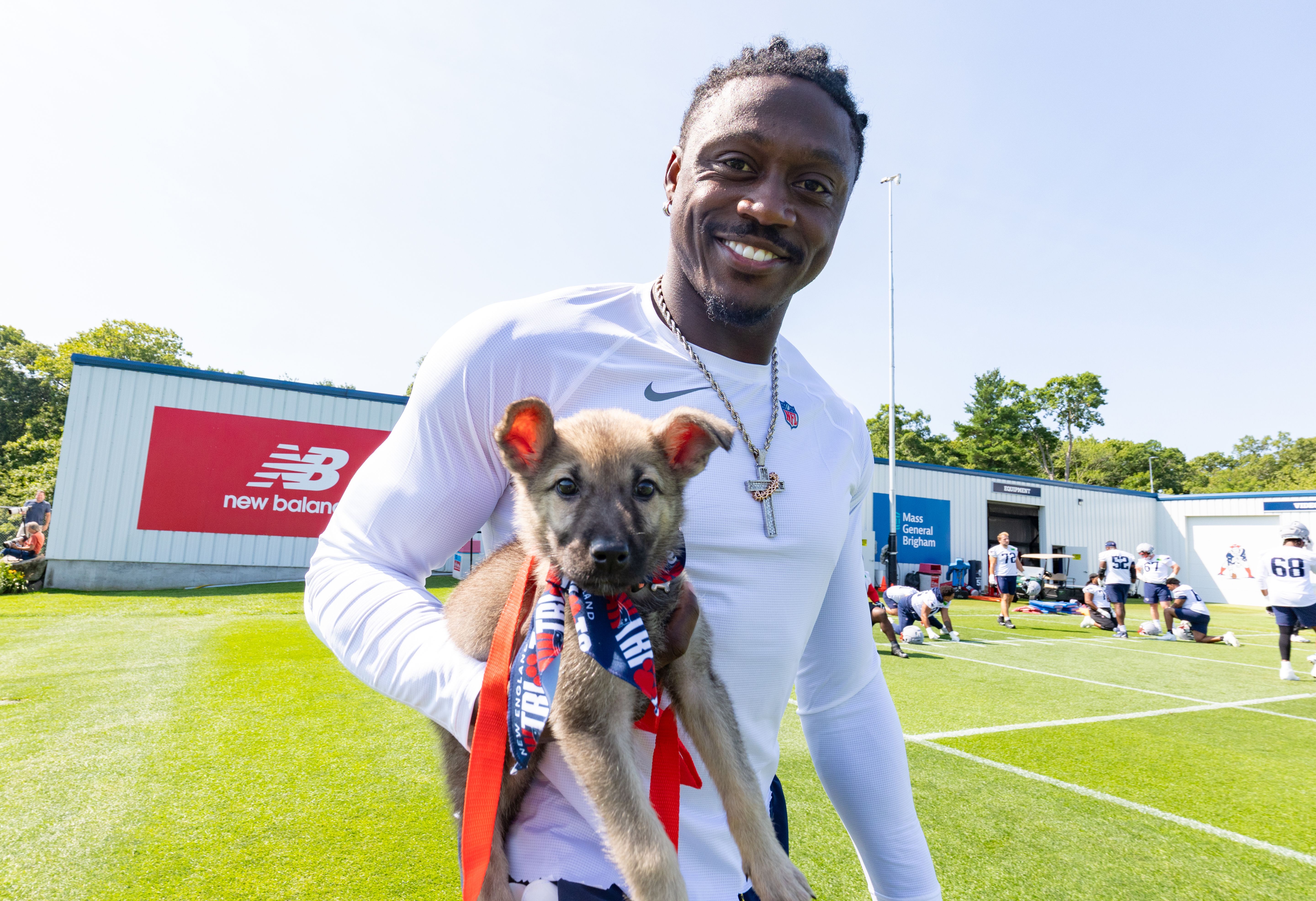 Dozens of Dogs find forever homes at second-annual Pawtriots Training Camp dog adoption event